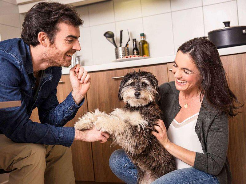 129A4535709ECCADB62E40EFDC519F7F