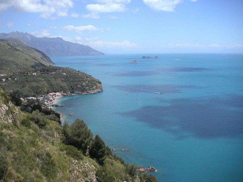 51A16BE109AEDBD7C2AD8AFFAAA44C8F