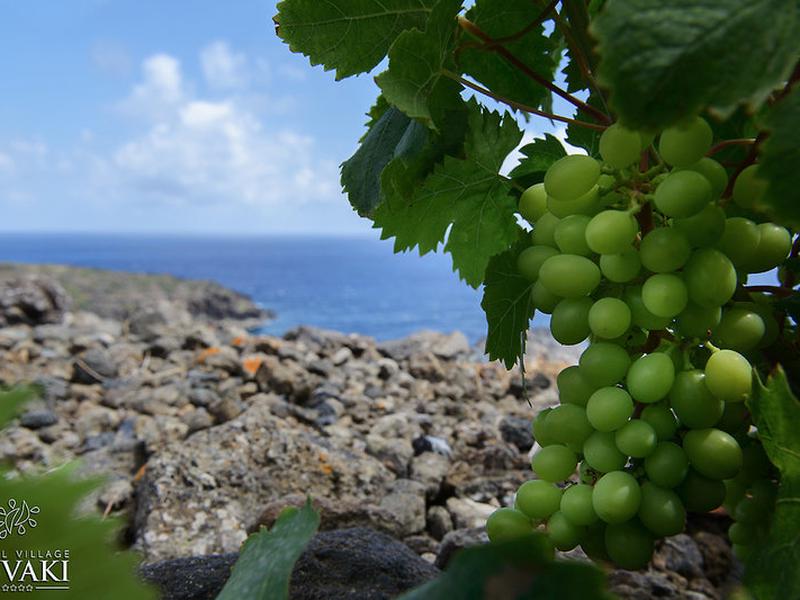 2AAD710D0D4DBEEB8BDC7303EE2091DB