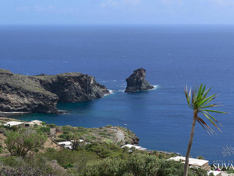 794A25EB28E84F05CFE9E650E00E6EAB