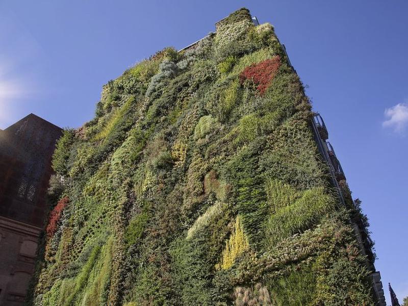 47E8FB64828726DD0A3245217C52C86C