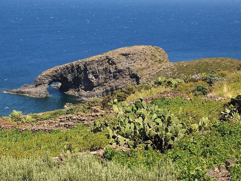 3F3A225CA1925E4AC28F291849096D13