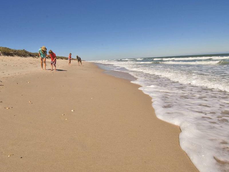 A4B8C7157A44A19CDF90CEC81191A12A