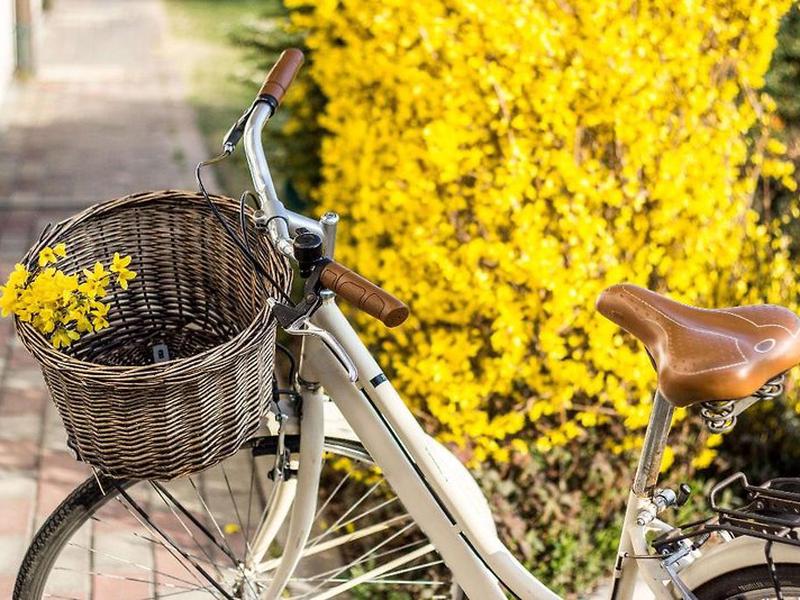 FE6E15D0C6E5B14B3B766172E661D3E2