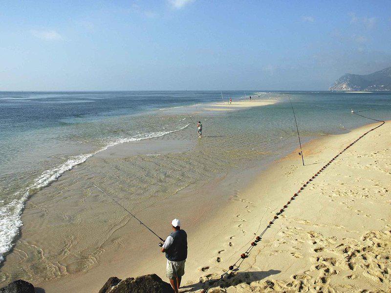 DE0A3EC49CD870E48B53657BA0F3593C