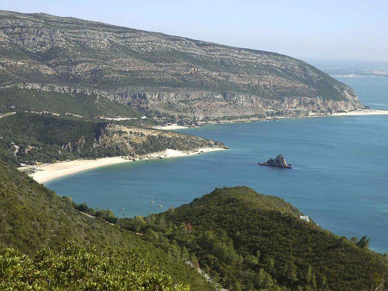 3E4CE1935B316D8A9393A8A32FA62C7D