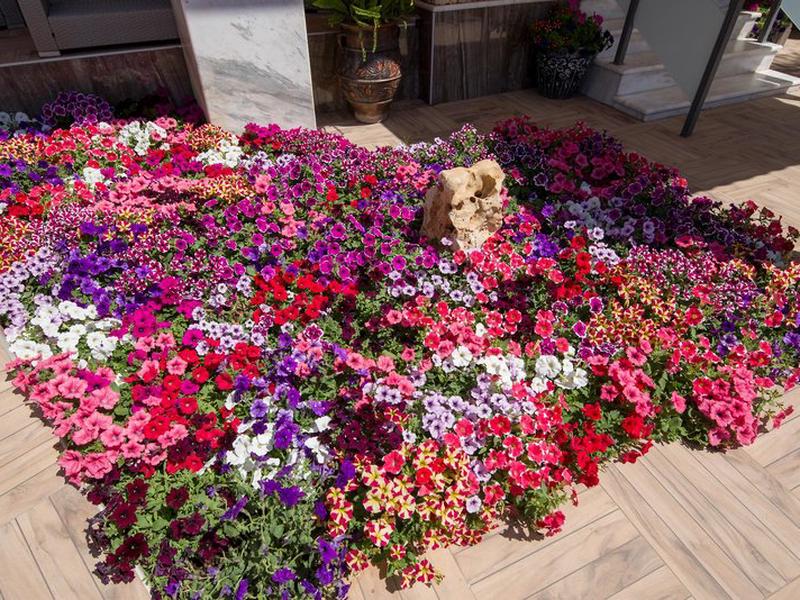 2A6B36EFE34E92D9CBFF0472369F6546