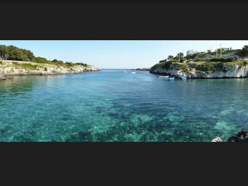 F29446DC4B6D2B910647B68735E225F6