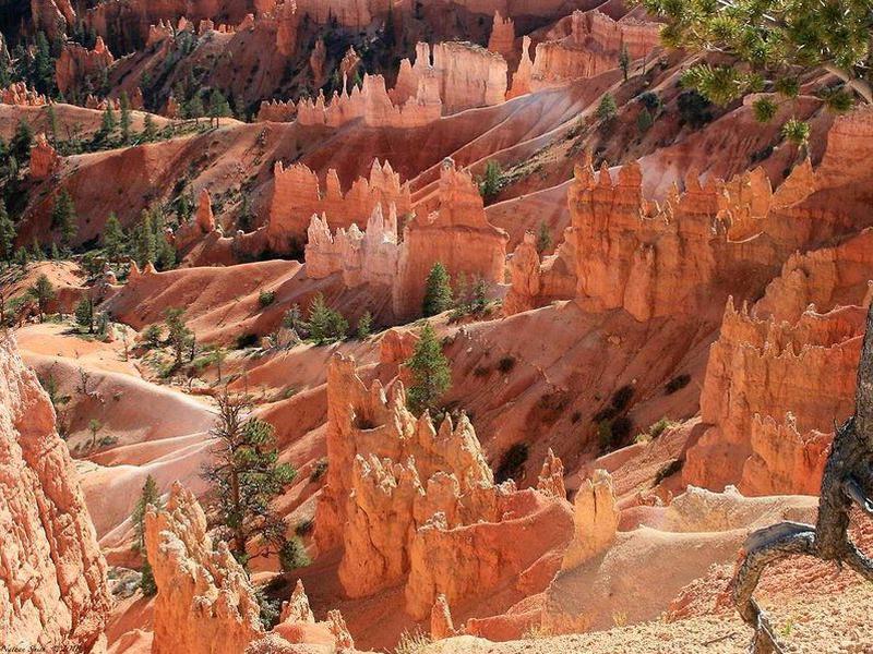 09D42800ED36A6C1F4CF8A3F4A6EF2D1