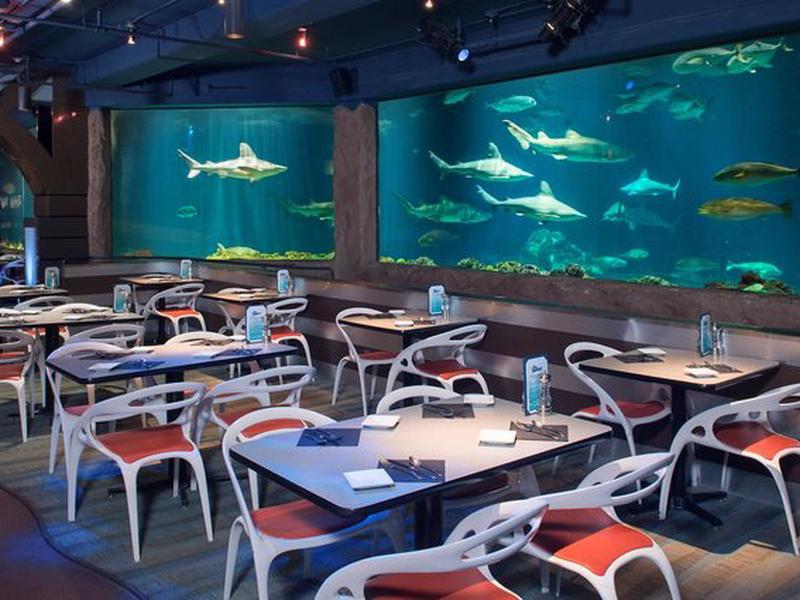 EDC8DD3C9406E3AE0EEC4062CAF2B38A