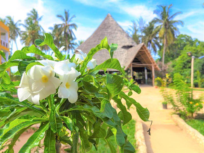 C1469FAEE5E2FEFE9CC18C67F764BC3E