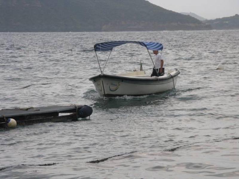 4990EFE3E58342EC5064BDF97E2293BE