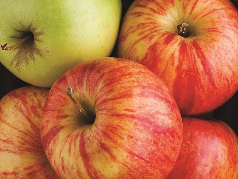 88F6299028A7E361D225454C00D57DCE