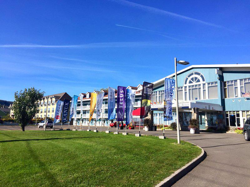 FD98784935E8D114235B33880CCDB584