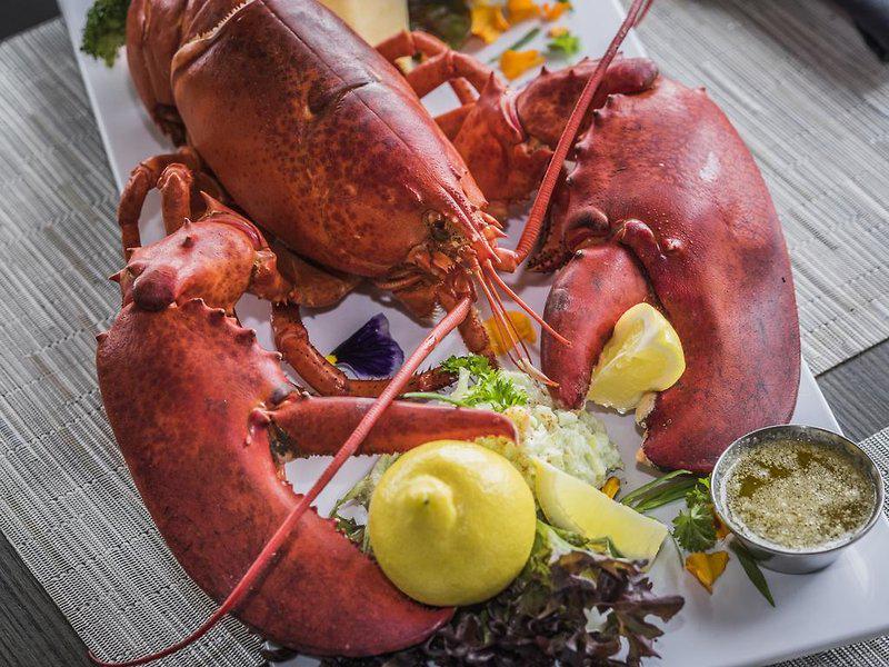 5B48A7AD5D2876DAE118802070BDC758