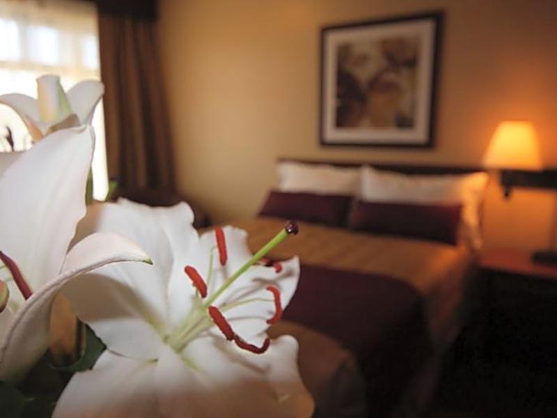 6D4C0DD68D3A7AE4C70C5C8F138AA257