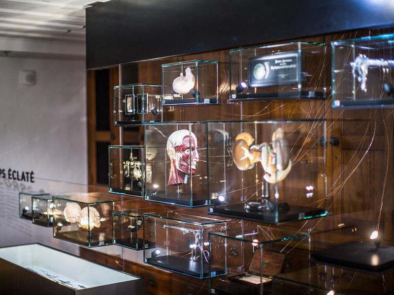 1294E87C9420218C906A6414460C7B2B