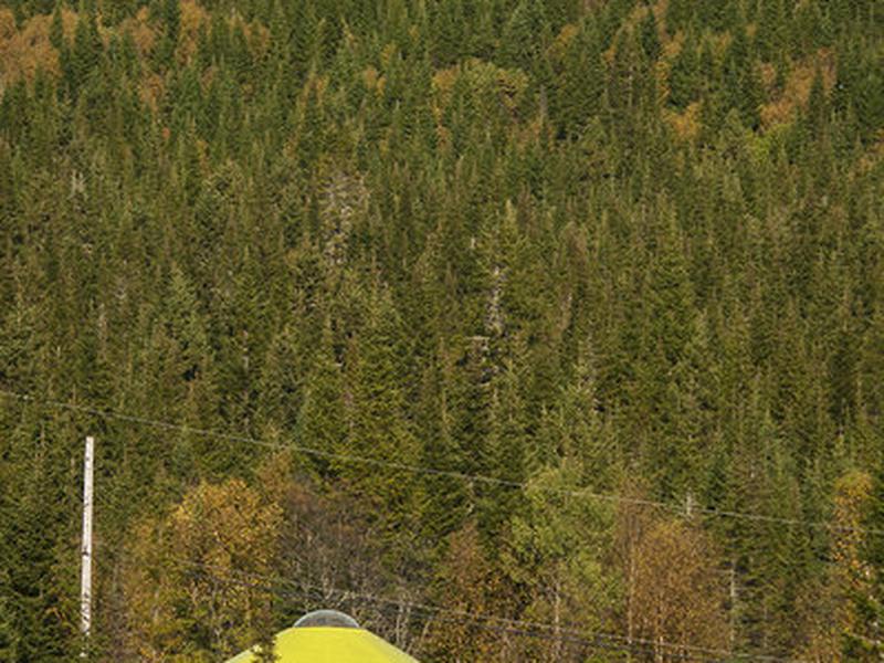 258AD7D893A150E291D98A9BF61CF311