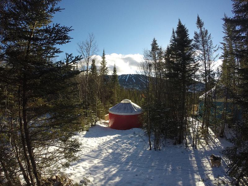 3A9C9A388C4EA05829D4B77D291C9C79