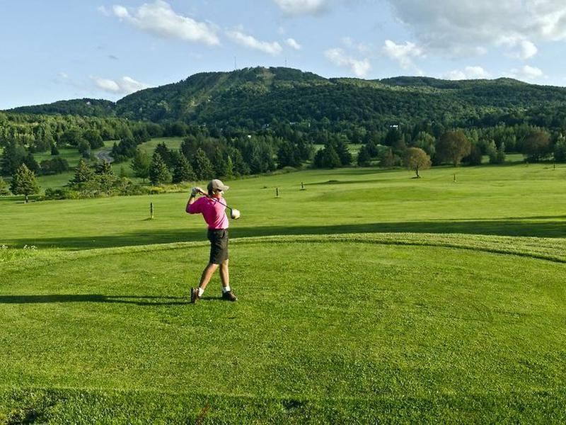 D69D097C11FCE8D56E7968B6B8920100