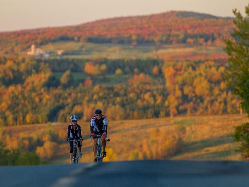 D1D74E6C529CFFD39A0FC643CC283102