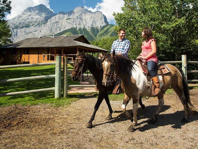 EA8CC8E98BF13A62982116BA3EDCF586