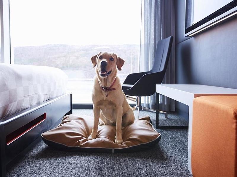 F39CD2AB361FFBD6F2D8A56432407DAD