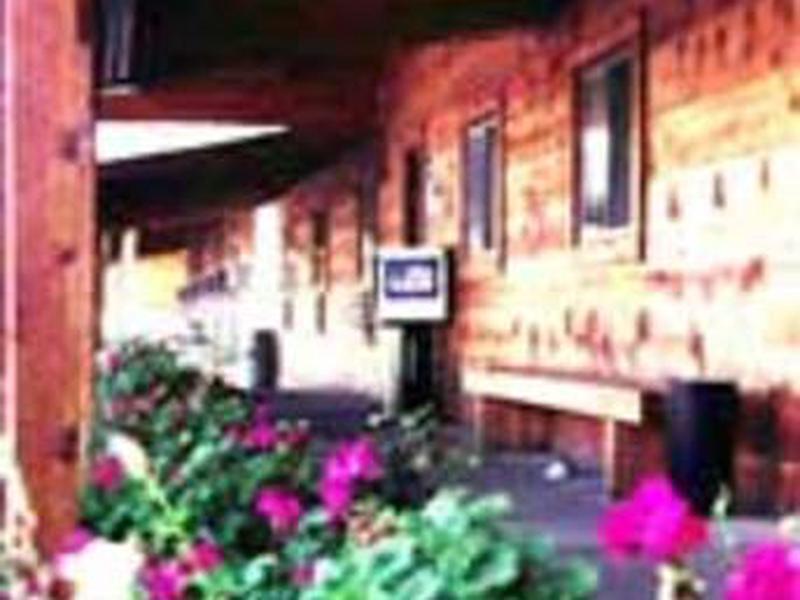 510C35556FC12F0DD22BD197D5C66976