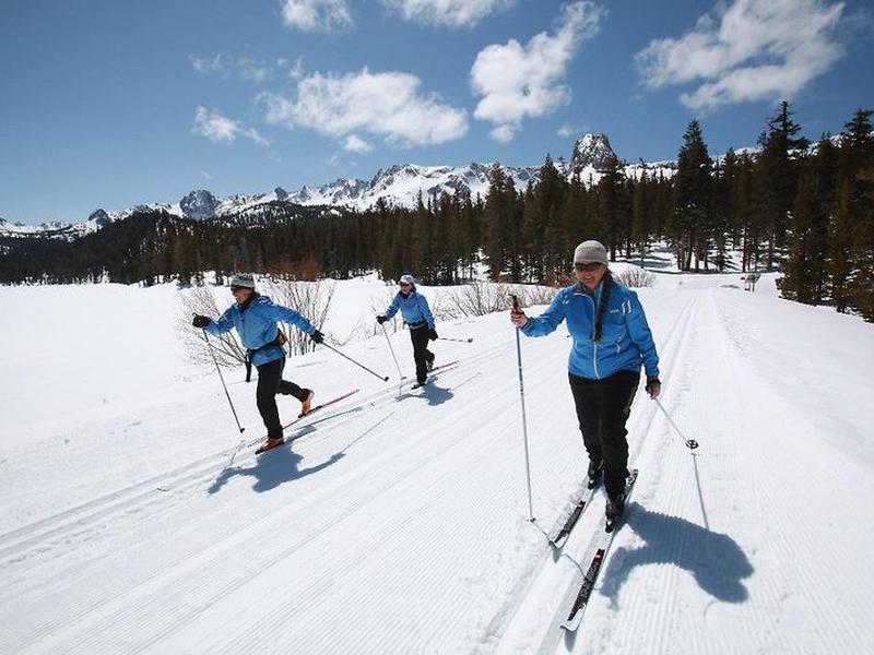 40897C47661E338B0E1D05EE831B514A