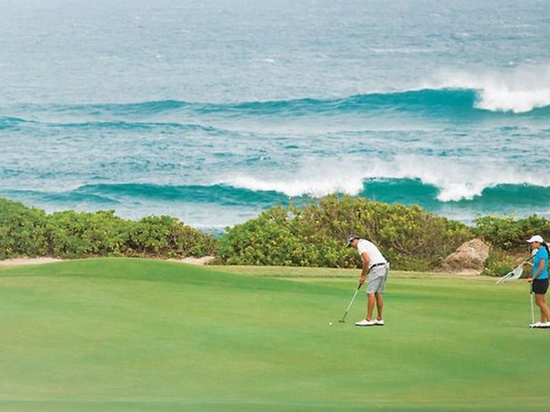 E12F61F8B071E0203266837FE2918858