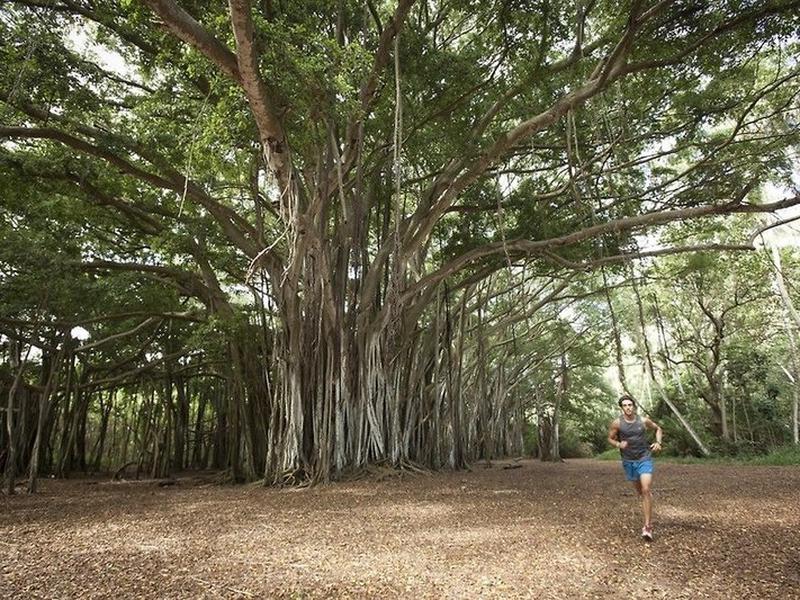 A8ABBE98A1DC0974EB6E4AFD8CAB23A9