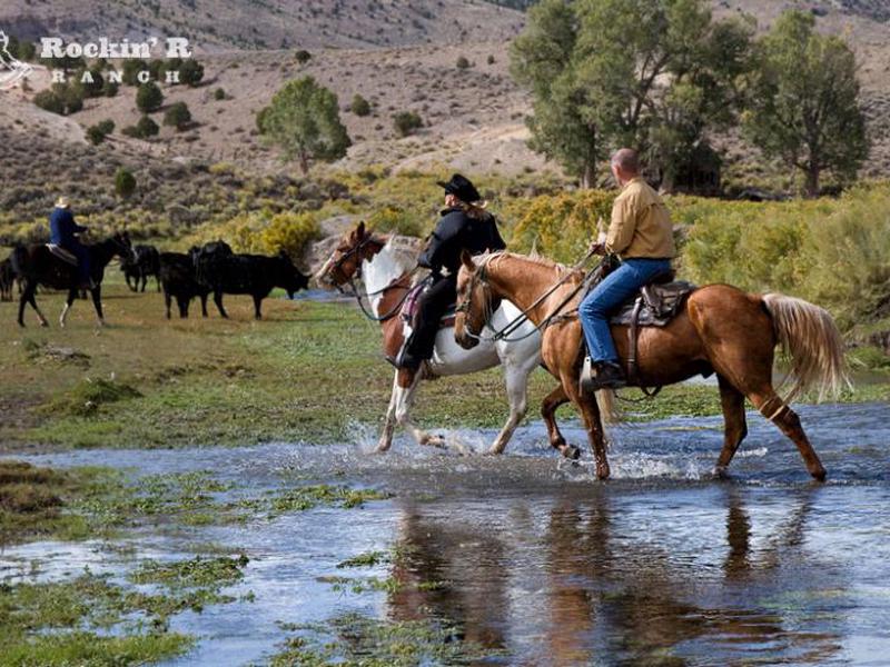 1AC5522A222065D4E3809D2F536440D1