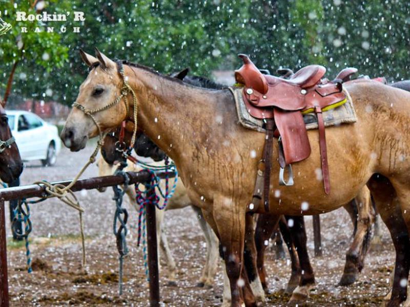 16FEE34A6F7732242D48DD9EDBC26CB9