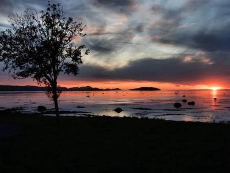 B3A707362CBFB4B3B8BD63406ECF32EA