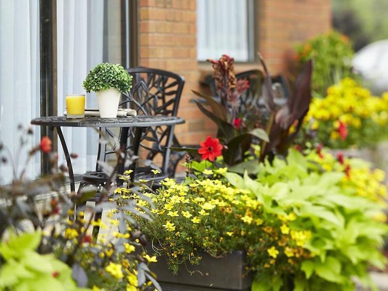 49C77B4B36D3719C200E84A6857D1AC5