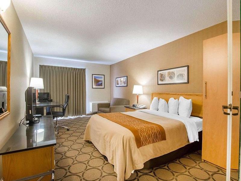 A50AF67A3B26F4E76F87A951B2E7920A