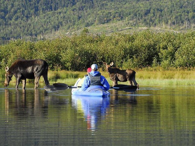 BE961682A2795D4B43ACB17B9F5E2738