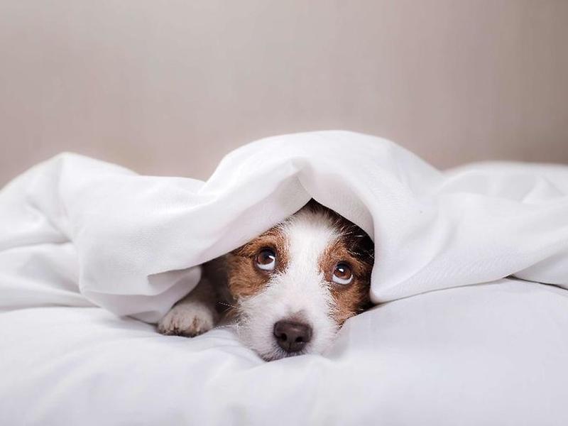 E1A345455B41A892C046166B498946E6