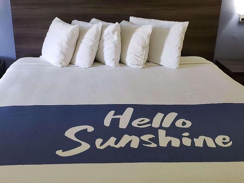 A65B7AF2D84CC4E6B534B84F95F15B31