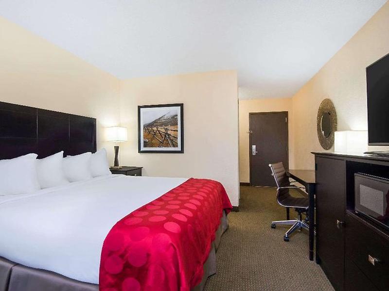 D610EEBBF8088C9FCE427AFF07AF48D0