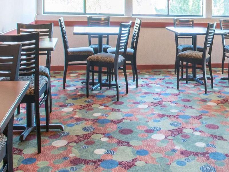 EB1FEAF0CA4A8B848F5072B371984987