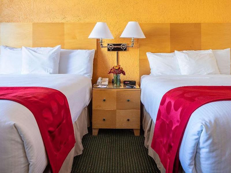 20E7D8EFB090812F9F9B4234119454BB