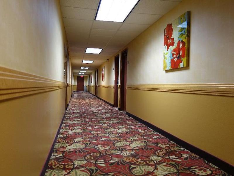 5890A0490BDB663513C1CC38A01A8704