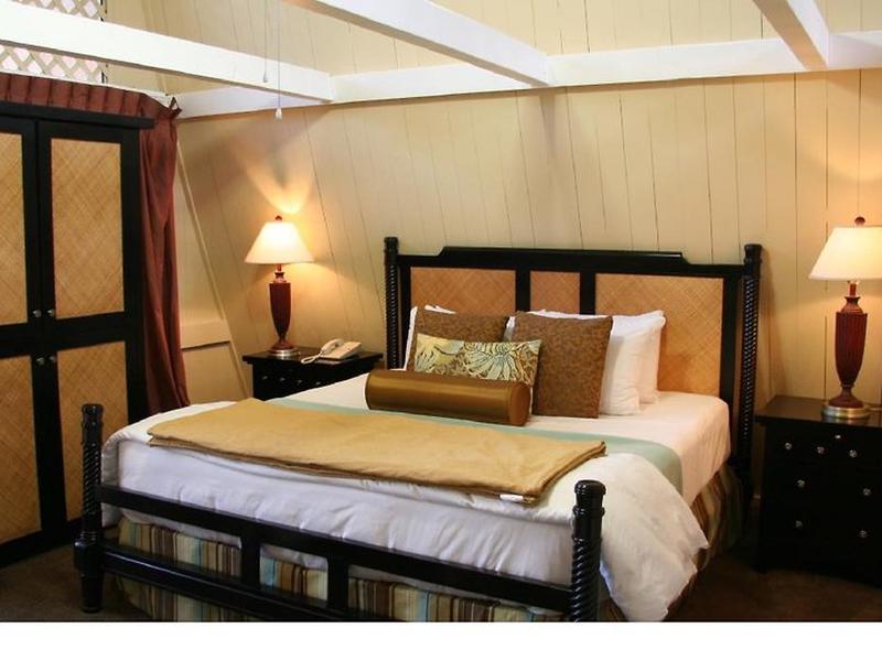 D44A226BBCF984450369747A90624919