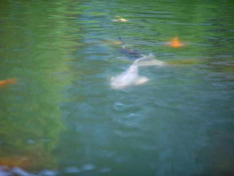 CFDF41C8A17D401B06F20929B18A8192