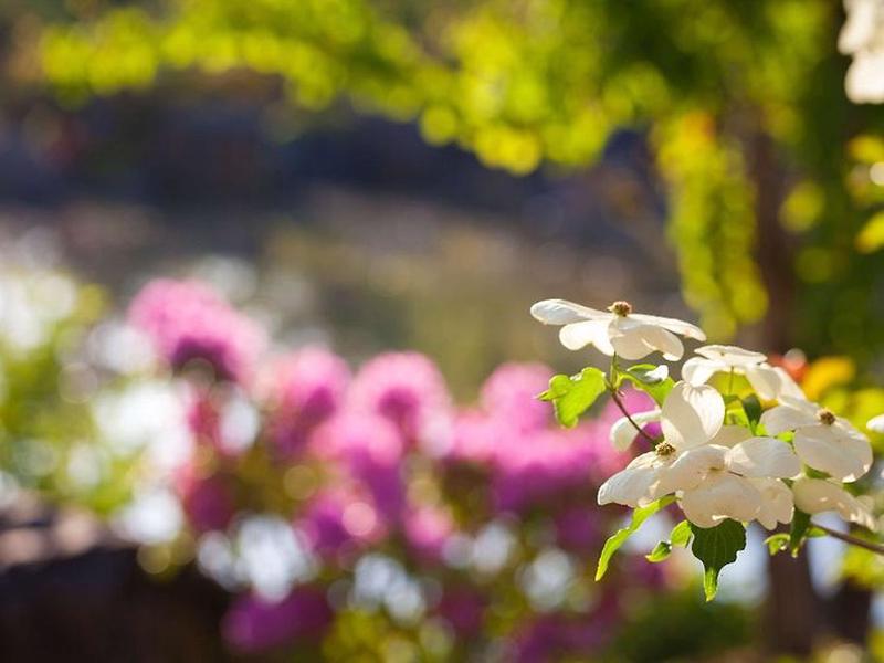 1A9076ECB5DE03AE5161861E9B1C67FB