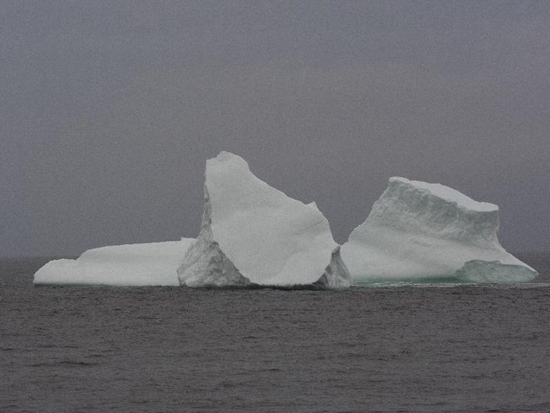 FA97FD89F647EFF79B9117637F0C65D1