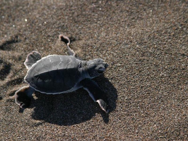 7A2FCD99C0CC15FC1AC805C1B9CAADAF