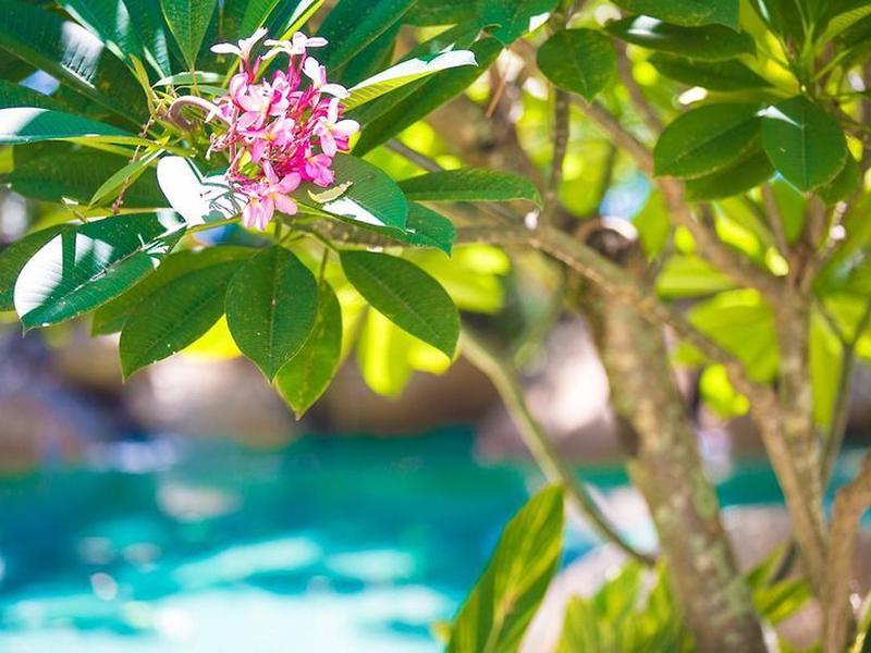 00DECE451F55BBF5B7617E8C5085A167