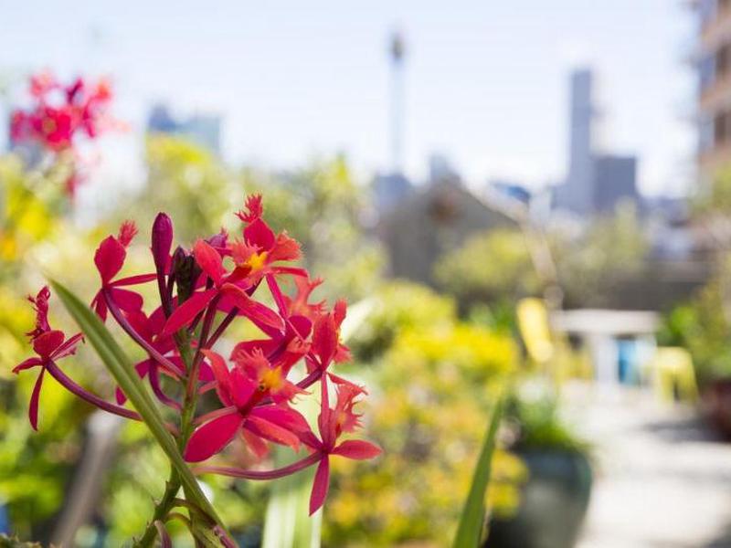 C0B045D73E48B4164237DBEC72D33905